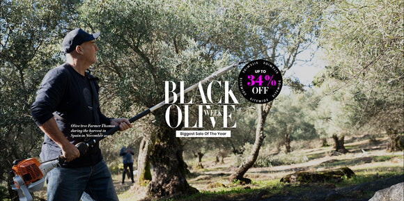 olivetreepeople-image