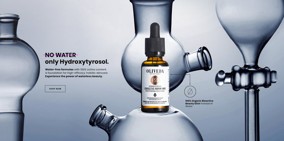 olivetreepeople-image