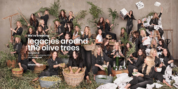 olivetreepeople-image