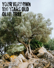 Load image into Gallery viewer, Your own olive Tree