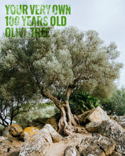 Lade das Bild in den Galerie-Viewer, Your own olive Tree